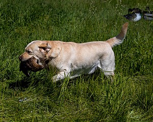 20210606-SEAL-1410.jpg