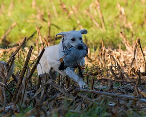 20061014-JHL-187.jpg