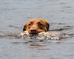 20170603-SHRW-1835.jpg