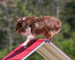 20150613-CCKC-0189.jpg