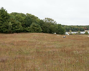 20141004-C-0009.jpg