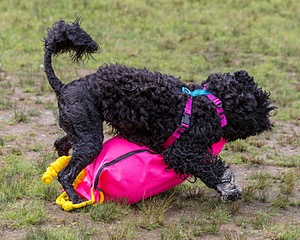 "Mistral" & Tobi-Ann