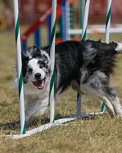 20150614-CCKC-1812.jpg
