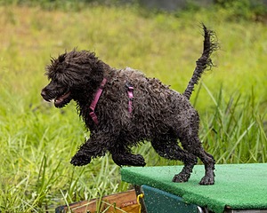 20220911-JWD-0032.jpg