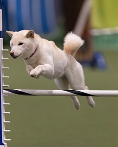 20260221-0114.jpg