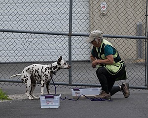20260718-NSKC-0523.jpg