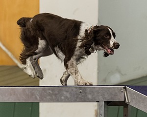 Weiser Carleton