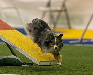 20150321-LEAP-1595.jpg