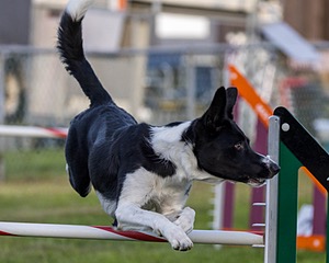 20230916-PVKC-1710.jpg