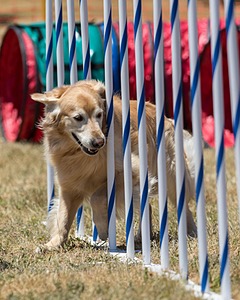 20160618-CCKC-1059.jpg