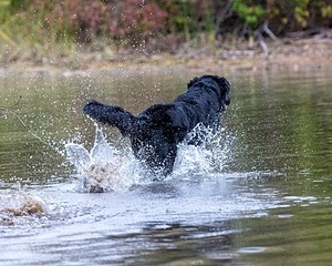 20161008-WCW-0017.jpg