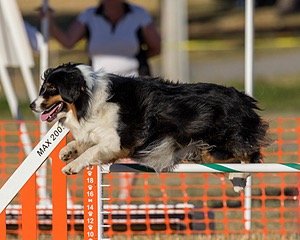Kona Destremps