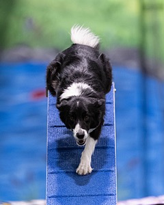20260221-0841.jpg