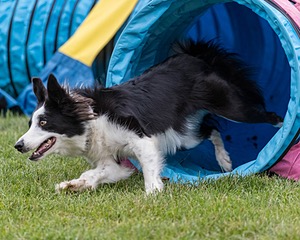 20200819-1911.jpg