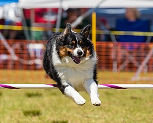 Kona Destremps