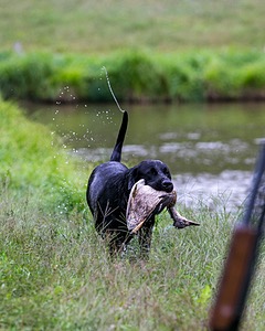 20150913-SEAW-0667.jpg