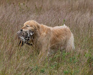 20130921-WCL-0014.jpg