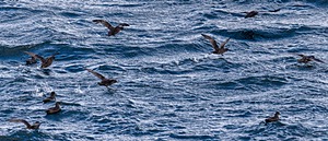 20260325-0083.jpg