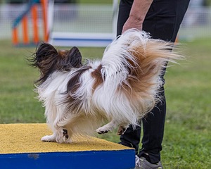 20230916-PVKC-0107.jpg