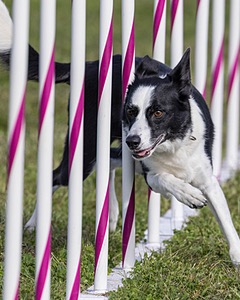 20230916-PVKC-1468.jpg
