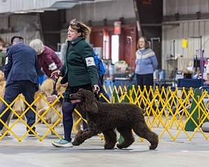 20260228-0209.jpg