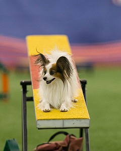 20150321-LEAP-1808.jpg