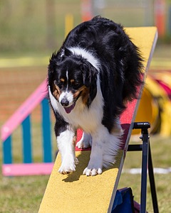 Kona Destremps