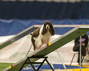20150321-LEAP-1316.jpg