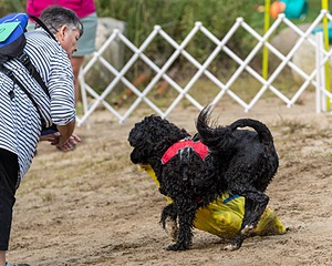 20210912-WWD-0426.jpg
