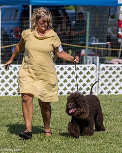 86 - GCH CH Chantico's The Power Of One (Allure)