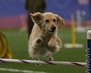 20150321-LEAP-0280.jpg