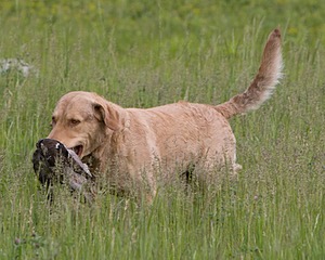 20080531-HRL-0013.jpg