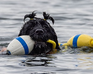 Liza Brogan