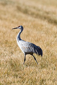 20151210-0791.jpg