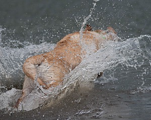 20080601-SRW-1119.jpg