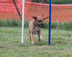 20200819-2839.jpg