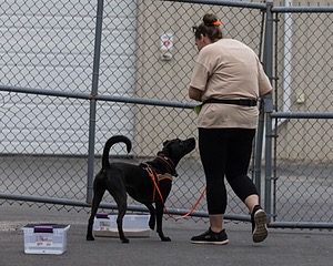 20260718-NSKC-0461.jpg