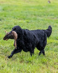 20210725-SHL-1701.jpg