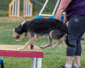 20200819-2895.jpg