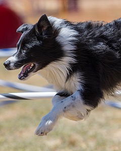 20160618-CCKC-1591.jpg