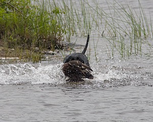 20080531-HRW-0164.jpg