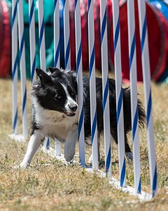 20160618-CCKC-1694.jpg