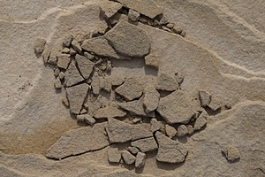 20151204-0255.jpg