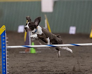 Weiser Carleton