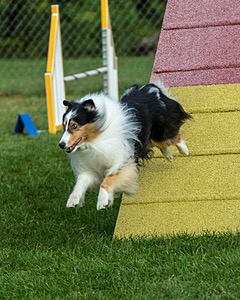 20200819-0266.jpg