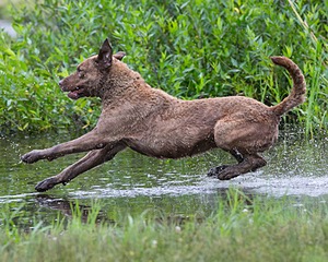 20130713-MHB2-0141.jpg