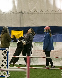 20150321-LEAP-0614.jpg