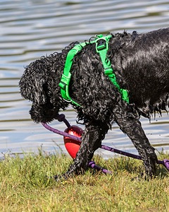 20170820-CWD-0055.jpg
