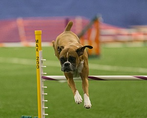20150321-LEAP-1157.jpg