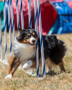 20160618-CCKC-1624.jpg